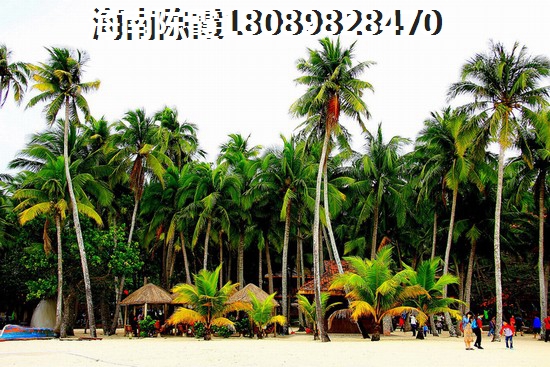 覃耀树个人资料