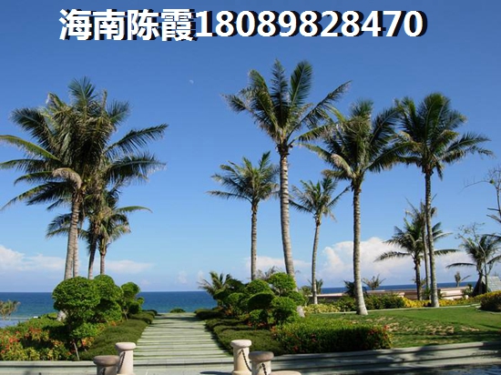 杨丽萍朱晓东的房子