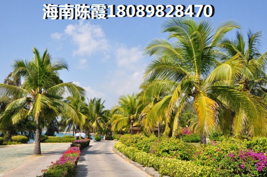 陵水土福湾全年气候适合北方人居住吗？