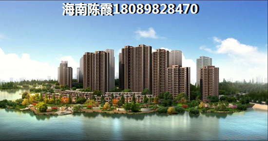 2025如何挑选申鑫国际广场性价比高的商品房？海南买房适合touzi的地方~
