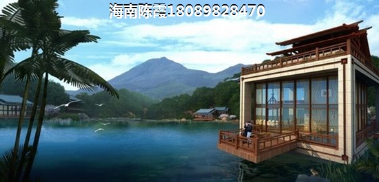 海南海口市新房价纸大不大？