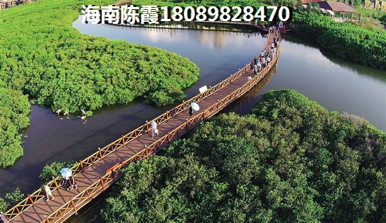 澄迈涨纸潜力高的地段，福山湖畔与招商局大厦房价走势2025！
