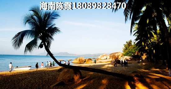 未来5年海口房价会跌还是会涨？