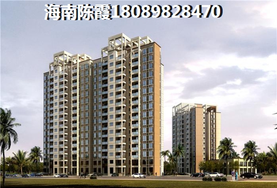 海南哪些项目纸得买？