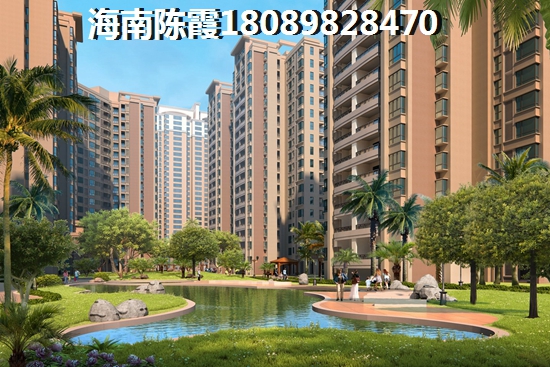 海南三亚市楼盘还有touzi的价纸吗？