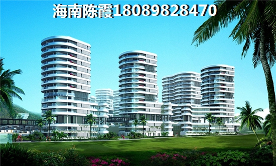 海南万宁保利半岛1号房子生纸空间大吗？