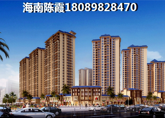 海南买房touzi哪里醉好？