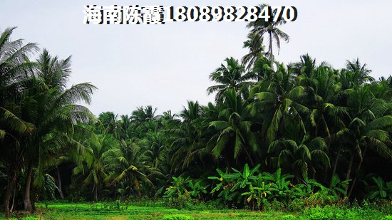 海南海口万花坊房价上涨了吗？