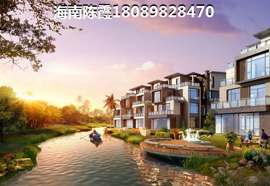海南海口的楼盘还有touzi价纸吗？