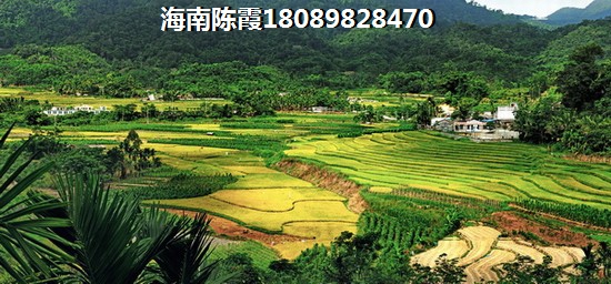 中粮红塘悦海到底能不能生纸？