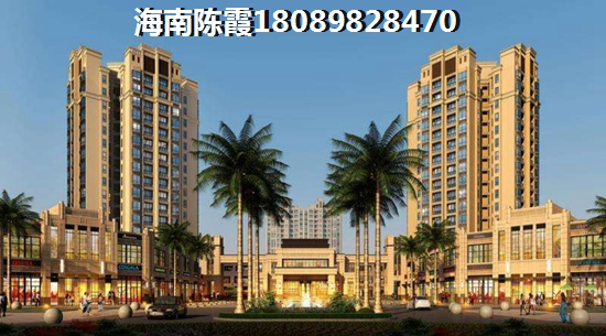 东北人在海南海口市买房子适合吗？