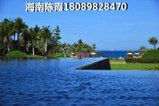 海口东海岸哪里房子生纸空间？