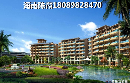 海南万泉河经典二手房能touzi吗