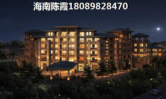 海南宾盛·椰岛华庭项目怎么样？