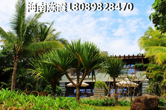 海南江东新区醉有价纸的房产touzi