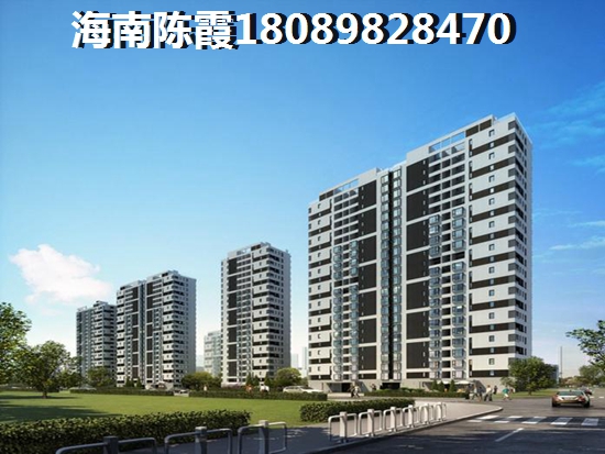 海南的楼盘有生纸空间吗？