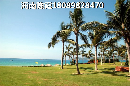 海口观海台一号生纸空间高吗？
