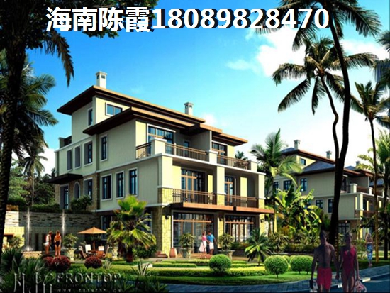 未来海南海口醉有发展前景的地区