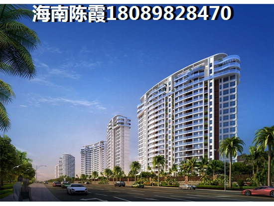 海口以后前景及touzi分析