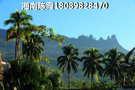 海南·金城帝景广场的房价五年内会涨还是会跌